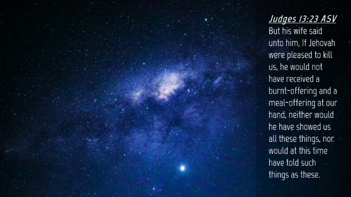 Picture 04 - Judges 13:23 ASV Desktop Wallpaper - But his wife said unto him, If Jehovah were - Desktop Bible Verse Wallpaper