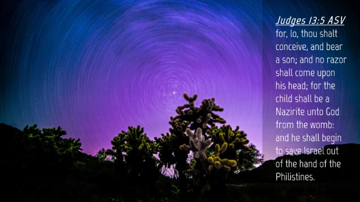 Picture 04 - Judges 13:5 ASV Desktop Wallpaper - for, lo, thou shalt conceive, and bear a son; and - Desktop Bible Verse Wallpaper