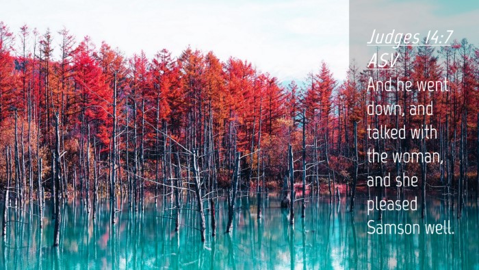 Picture 04 - Judges 14:7 ASV Desktop Wallpaper - And he went down, and talked with the woman, and - Desktop Bible Verse Wallpaper