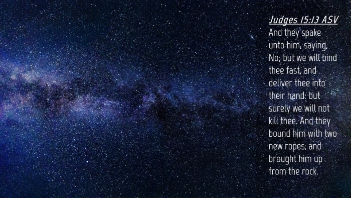 Picture 04 - Judges 15:13 ASV Desktop Wallpaper - And they spake unto him, saying, No; but we will - Desktop Bible Verse Wallpaper