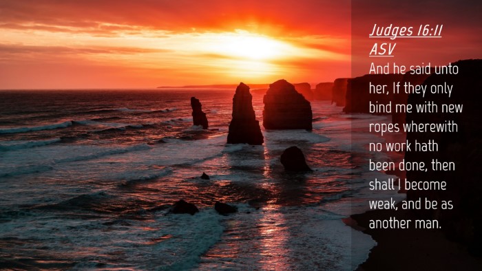 Picture 04 - Judges 16:11 ASV Desktop Wallpaper - And he said unto her, If they only bind me with - Desktop Bible Verse Wallpaper