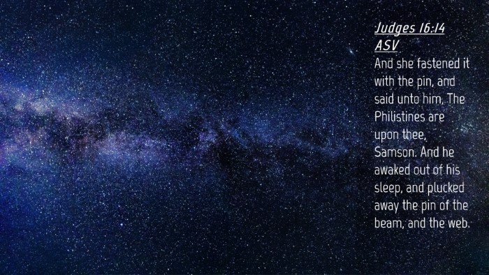 Picture 04 - Judges 16:14 ASV Desktop Wallpaper - And she fastened it with the pin, and said unto - Desktop Bible Verse Wallpaper