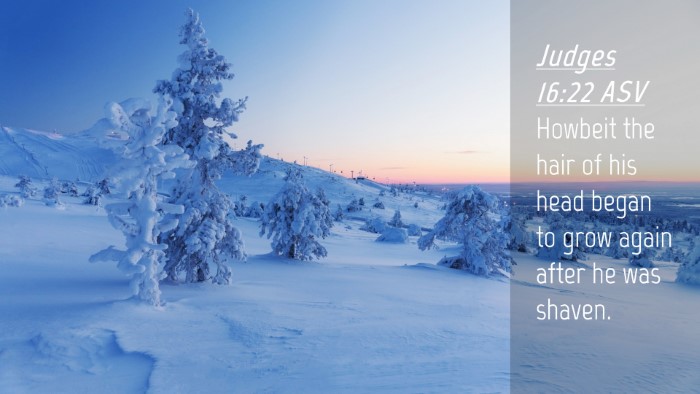 Picture 04 - Judges 16:22 ASV Desktop Wallpaper - Howbeit the hair of his head began to grow again - Desktop Bible Verse Wallpaper