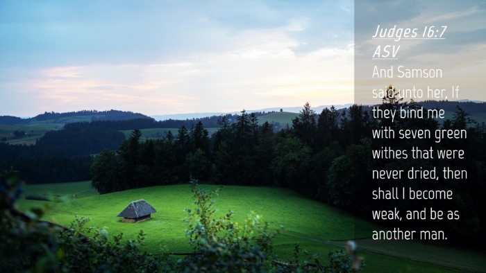 Picture 04 - Judges 16:7 ASV Desktop Wallpaper - And Samson said unto her, If they bind me with - Desktop Bible Verse Wallpaper