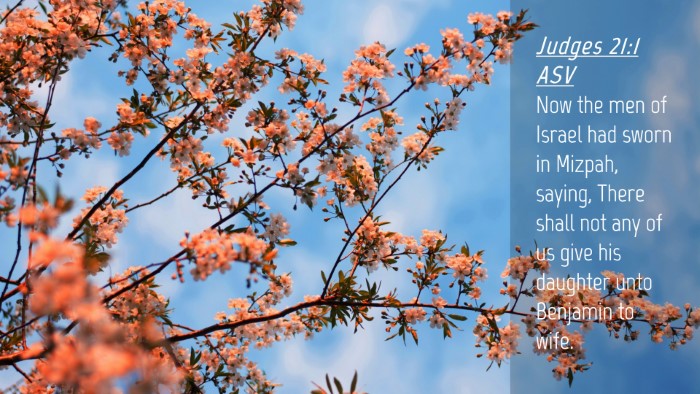 Picture 04 - Judges 21:1 ASV Desktop Wallpaper - Now the men of Israel had sworn in Mizpah, - Desktop Bible Verse Wallpaper