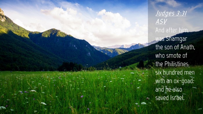 Picture 04 - Judges 3:31 ASV Desktop Wallpaper - And after him was Shamgar the son of Anath, who - Desktop Bible Verse Wallpaper