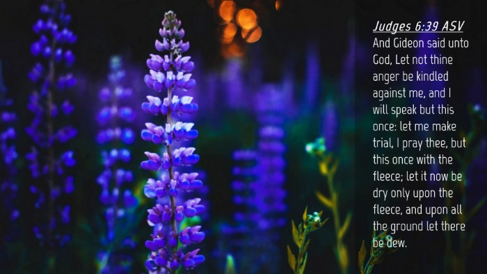 Picture 04 - Judges 6:39 ASV Desktop Wallpaper - And Gideon said unto God, Let not thine anger be - Desktop Bible Verse Wallpaper