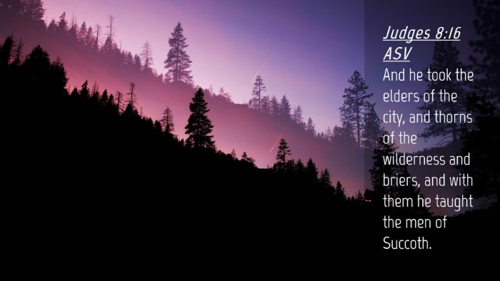 Picture 04 - Judges 8:16 ASV Desktop Wallpaper - And he took the elders of the city, and thorns of - Desktop Bible Verse Wallpaper