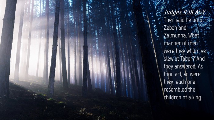 Picture 04 - Judges 8:18 ASV Desktop Wallpaper - Then said he unto Zebah and Zalmunna, What manner - Desktop Bible Verse Wallpaper