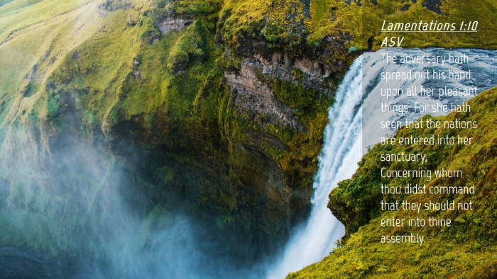 Picture 04 - Lamentations 1:10 ASV Desktop Wallpaper - The adversary hath spread out his hand upon all - Desktop Bible Verse Wallpaper