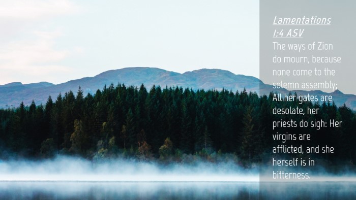 Picture 04 - Lamentations 1:4 ASV Desktop Wallpaper - The ways of Zion do mourn, because none come to - Desktop Bible Verse Wallpaper