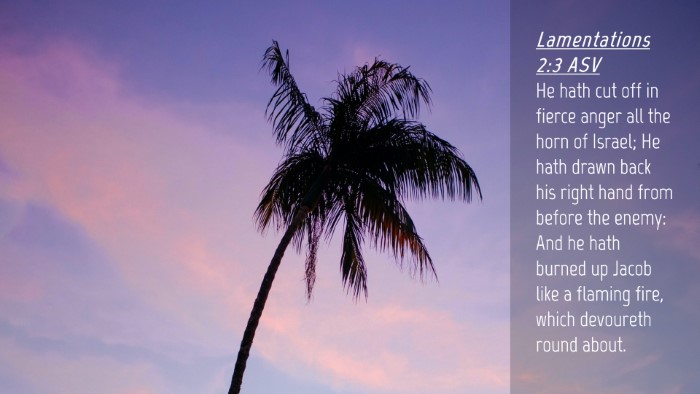 Picture 04 - Lamentations 2:3 ASV Desktop Wallpaper - He hath cut off in fierce anger all the horn of - Desktop Bible Verse Wallpaper