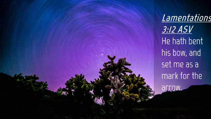 Picture 04 - Lamentations 3:12 ASV Desktop Wallpaper - He hath bent his bow, and set me as a mark for - Desktop Bible Verse Wallpaper
