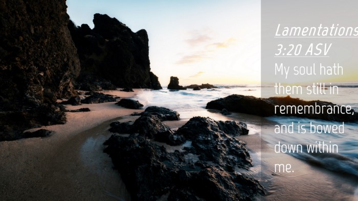 Picture 04 - Lamentations 3:20 ASV Desktop Wallpaper - My soul hath them still in remembrance, and is - Desktop Bible Verse Wallpaper