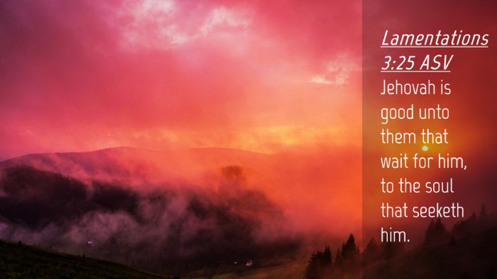 Picture 04 - Lamentations 3:25 ASV Desktop Wallpaper - Jehovah is good unto them that wait for him, to - Desktop Bible Verse Wallpaper