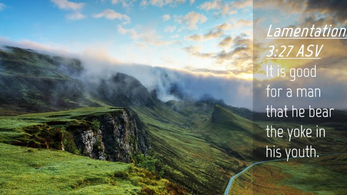 Picture 04 - Lamentations 3:27 ASV Desktop Wallpaper - It is good for a man that he bear the yoke in his - Desktop Bible Verse Wallpaper