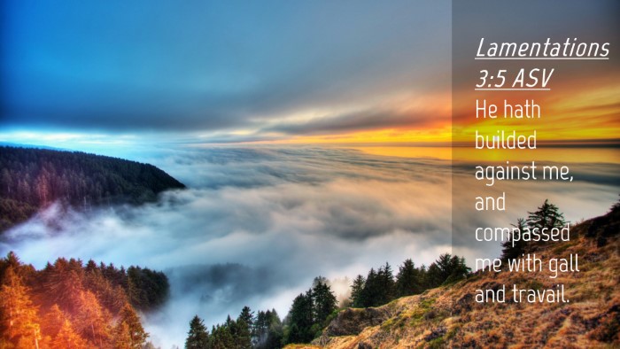 Picture 04 - Lamentations 3:5 ASV Desktop Wallpaper - He hath builded against me, and compassed me with - Desktop Bible Verse Wallpaper