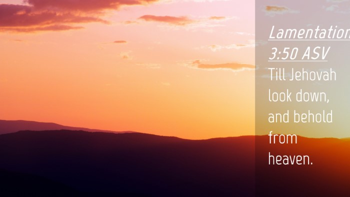 Picture 04 - Lamentations 3:50 ASV Desktop Wallpaper - Till Jehovah look down, and behold from - Desktop Bible Verse Wallpaper