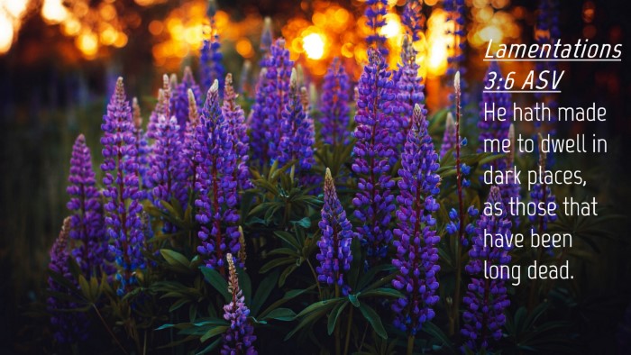 Picture 04 - Lamentations 3:6 ASV Desktop Wallpaper - He hath made me to dwell in dark places, as those - Desktop Bible Verse Wallpaper