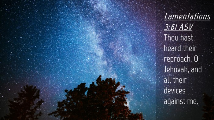 Picture 04 - Lamentations 3:61 ASV Desktop Wallpaper - Thou hast heard their reproach, O Jehovah, and - Desktop Bible Verse Wallpaper