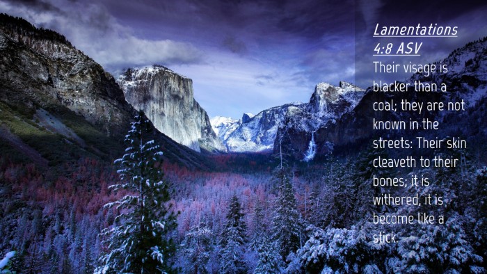 Picture 04 - Lamentations 4:8 ASV Desktop Wallpaper - Their visage is blacker than a coal; they are not - Desktop Bible Verse Wallpaper
