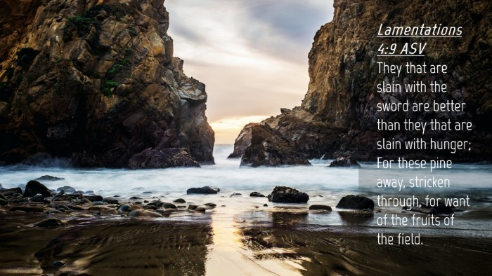 Picture 04 - Lamentations 4:9 ASV Desktop Wallpaper - They that are slain with the sword are better - Desktop Bible Verse Wallpaper