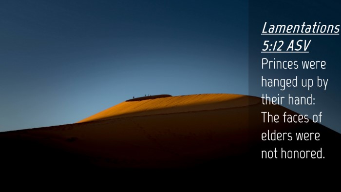 Picture 04 - Lamentations 5:12 ASV Desktop Wallpaper - Princes were hanged up by their hand: The faces - Desktop Bible Verse Wallpaper