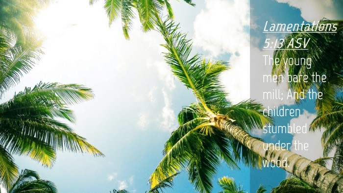 Picture 04 - Lamentations 5:13 ASV Desktop Wallpaper - The young men bare the mill; And the children - Desktop Bible Verse Wallpaper