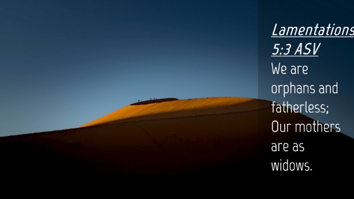 Picture 04 - Lamentations 5:3 ASV Desktop Wallpaper - We are orphans and fatherless; Our mothers are as - Desktop Bible Verse Wallpaper