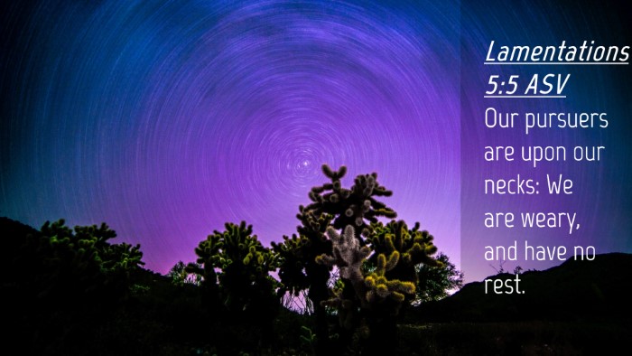 Picture 04 - Lamentations 5:5 ASV Desktop Wallpaper - Our pursuers are upon our necks: We are weary, - Desktop Bible Verse Wallpaper