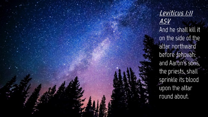 Picture 04 - Leviticus 1:11 ASV Desktop Wallpaper - And he shall kill it on the side of the altar - Desktop Bible Verse Wallpaper