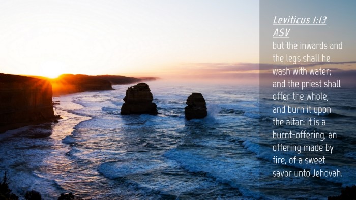 Picture 04 - Leviticus 1:13 ASV Desktop Wallpaper - but the inwards and the legs shall he wash with - Desktop Bible Verse Wallpaper