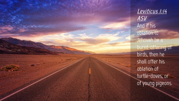 Picture 04 - Leviticus 1:14 ASV Desktop Wallpaper - And if his oblation to Jehovah be a - Desktop Bible Verse Wallpaper