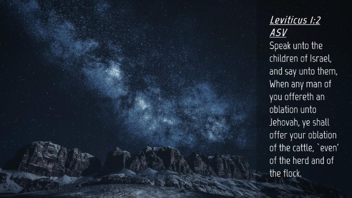 Picture 04 - Leviticus 1:2 ASV Desktop Wallpaper - Speak unto the children of Israel, and say unto - Desktop Bible Verse Wallpaper
