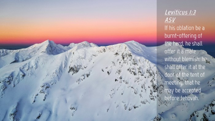 Picture 04 - Leviticus 1:3 ASV Desktop Wallpaper - If his oblation be a burnt-offering of the herd, - Desktop Bible Verse Wallpaper