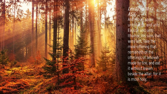 Picture 04 - Leviticus 10:12 ASV Desktop Wallpaper - And Moses spake unto Aaron, and unto Eleazar and - Desktop Bible Verse Wallpaper