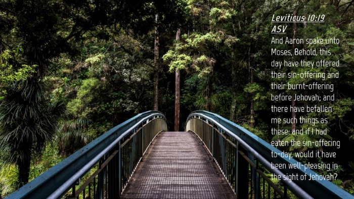 Picture 04 - Leviticus 10:19 ASV Desktop Wallpaper - And Aaron spake unto Moses, Behold, this day have - Desktop Bible Verse Wallpaper