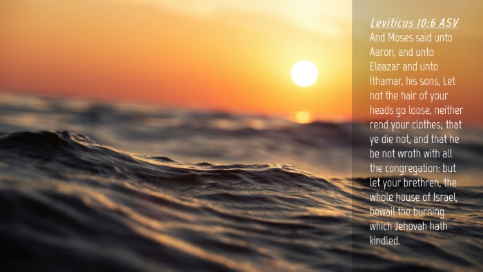 Picture 04 - Leviticus 10:6 ASV Desktop Wallpaper - And Moses said unto Aaron, and unto Eleazar and - Desktop Bible Verse Wallpaper