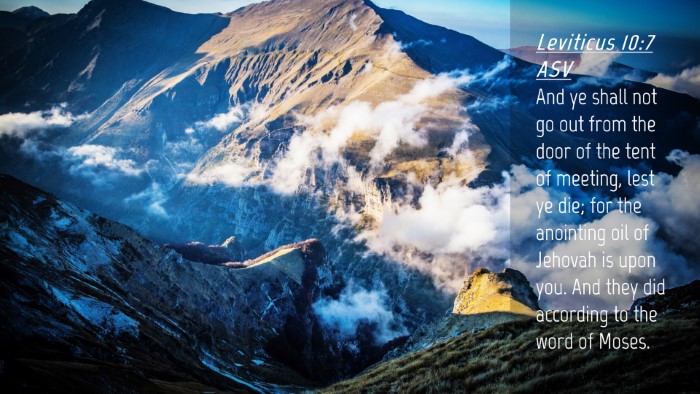 Picture 04 - Leviticus 10:7 ASV Desktop Wallpaper - And ye shall not go out from the door of the tent - Desktop Bible Verse Wallpaper