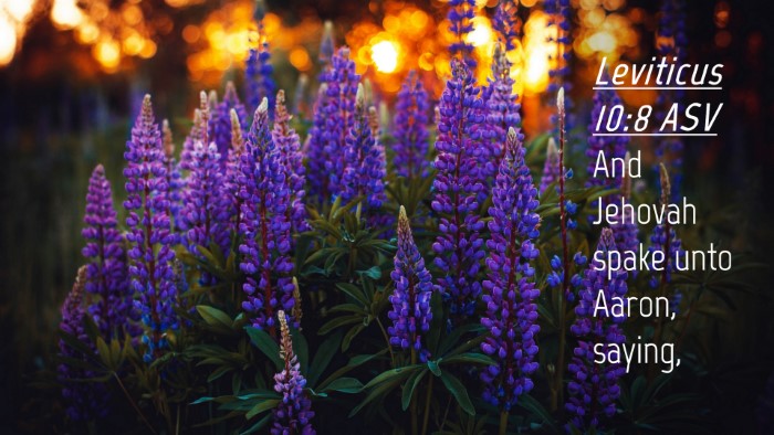 Picture 04 - Leviticus 10:8 ASV Desktop Wallpaper - And Jehovah spake unto Aaron, - Desktop Bible Verse Wallpaper