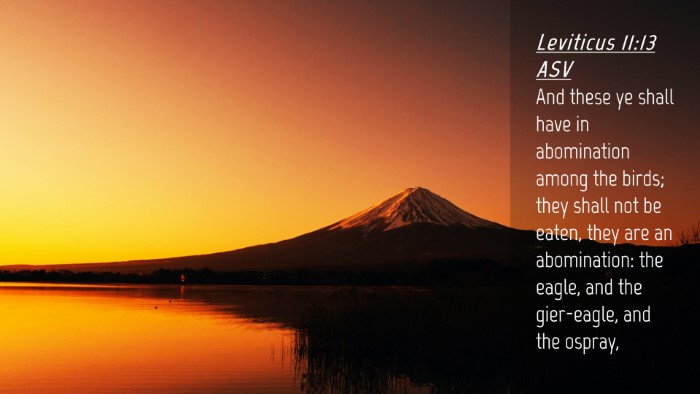 Picture 04 - Leviticus 11:13 ASV Desktop Wallpaper - And these ye shall have in abomination among the - Desktop Bible Verse Wallpaper