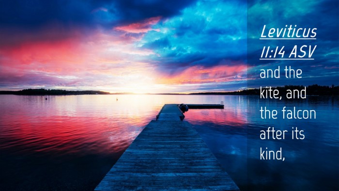 Picture 04 - Leviticus 11:14 ASV Desktop Wallpaper - and the kite, and the falcon after its - Desktop Bible Verse Wallpaper