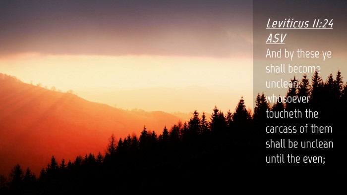 Picture 04 - Leviticus 11:24 ASV Desktop Wallpaper - And by these ye shall become unclean: whosoever - Desktop Bible Verse Wallpaper