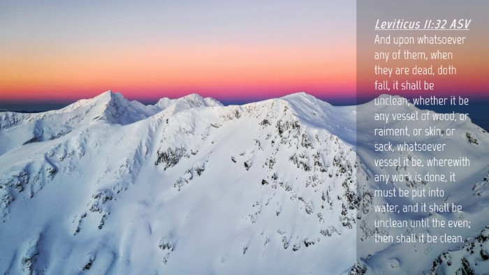 Picture 04 - Leviticus 11:32 ASV Desktop Wallpaper - And upon whatsoever any of them, when they are - Desktop Bible Verse Wallpaper