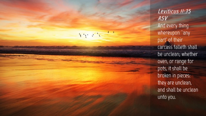 Picture 04 - Leviticus 11:35 ASV Desktop Wallpaper - And every thing whereupon `any part' of their - Desktop Bible Verse Wallpaper