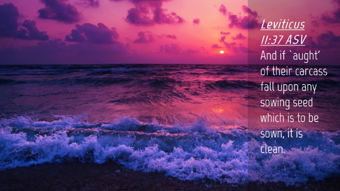 Picture 04 - Leviticus 11:37 ASV Desktop Wallpaper - And if `aught' of their carcass fall upon any - Desktop Bible Verse Wallpaper