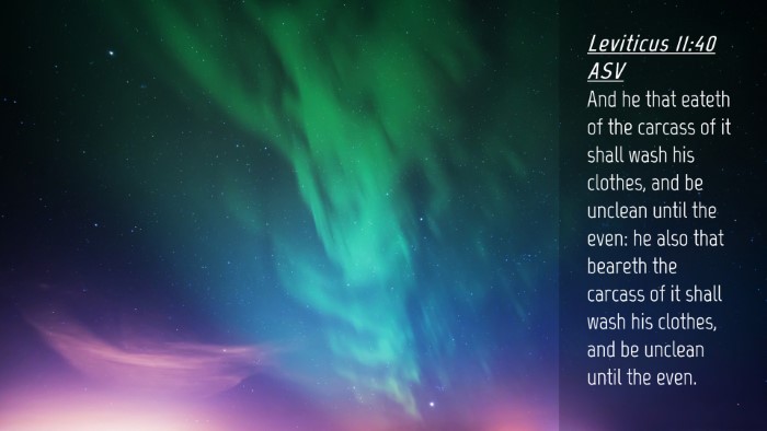 Picture 04 - Leviticus 11:40 ASV Desktop Wallpaper - And he that eateth of the carcass of it shall - Desktop Bible Verse Wallpaper