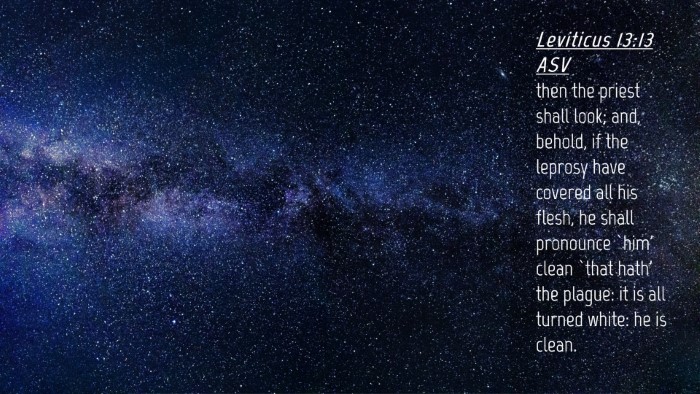 Picture 04 - Leviticus 13:13 ASV Desktop Wallpaper - then the priest shall look; and, behold, if the - Desktop Bible Verse Wallpaper
