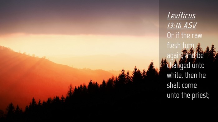 Picture 04 - Leviticus 13:16 ASV Desktop Wallpaper - Or if the raw flesh turn again, and be changed - Desktop Bible Verse Wallpaper