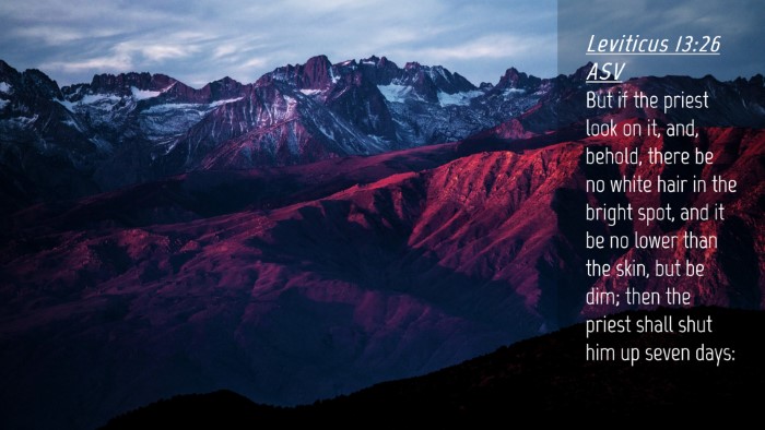 Picture 04 - Leviticus 13:26 ASV Desktop Wallpaper - But if the priest look on it, and, behold, there - Desktop Bible Verse Wallpaper